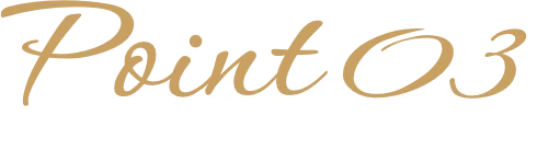 Point 03